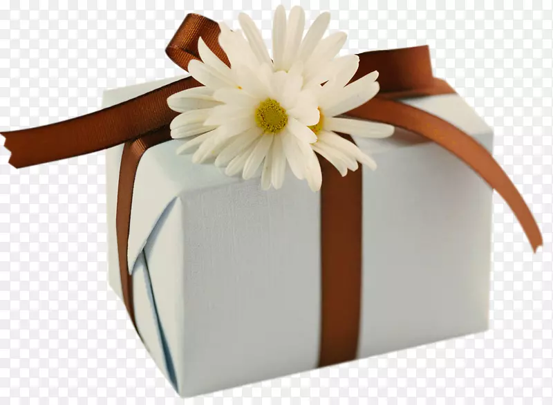 生日祝福友谊贺卡幸福-白色礼物，棕色蝴蝶结和雏菊