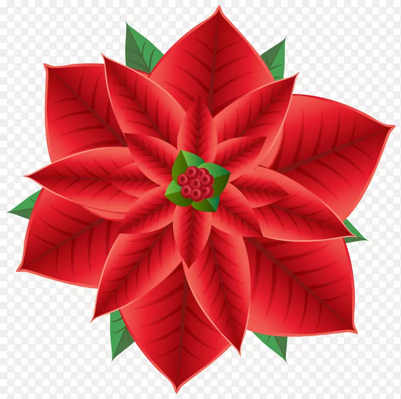圣诞插花艺术-圣诞一品红透明PNG剪贴画图片