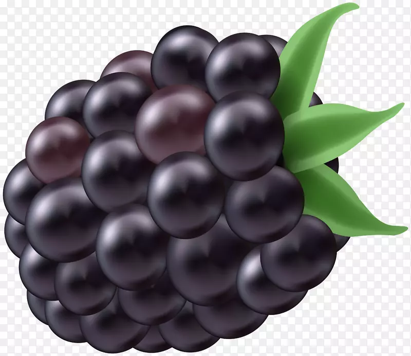 黑莓Z3剪贴画-黑莓PNG剪贴画图片