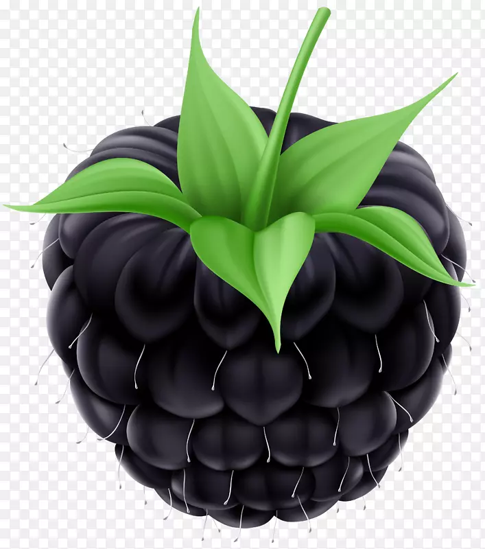 黑莓水果剪贴画-黑莓PNG剪贴画图片