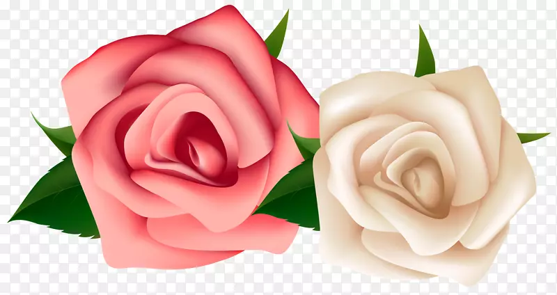 玫瑰白色剪贴画-红白玫瑰剪贴画