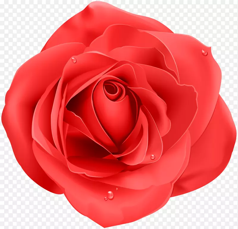 紫玫瑰家红玫瑰透明PNG剪贴画