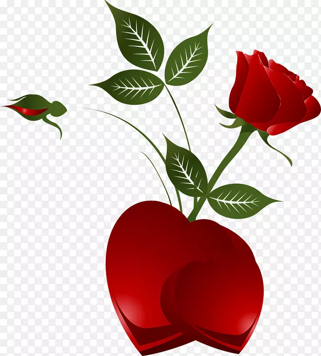 玫瑰心夹艺术-透明装饰元素红玫瑰心