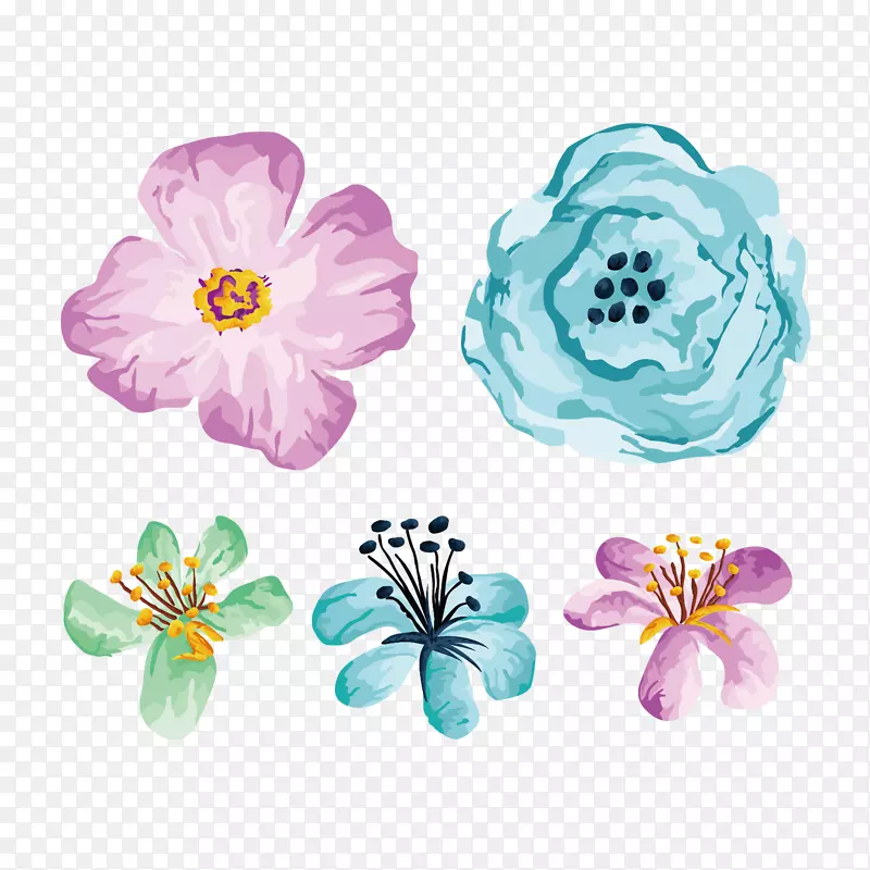 花卉插图.手绘花卉插图图