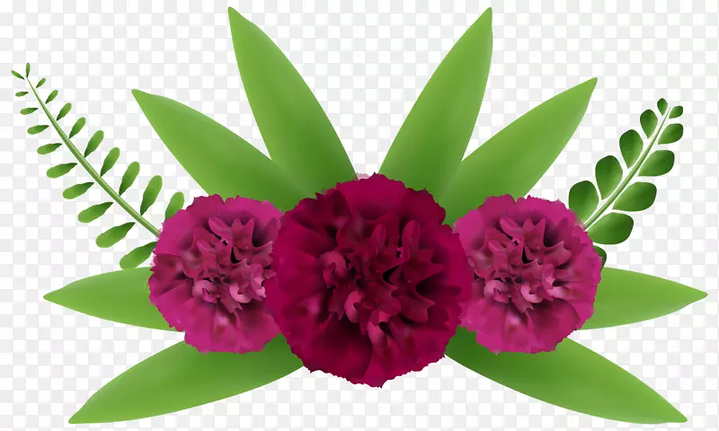 花卉剪贴画-美丽的花PNG剪贴画-艺术形象