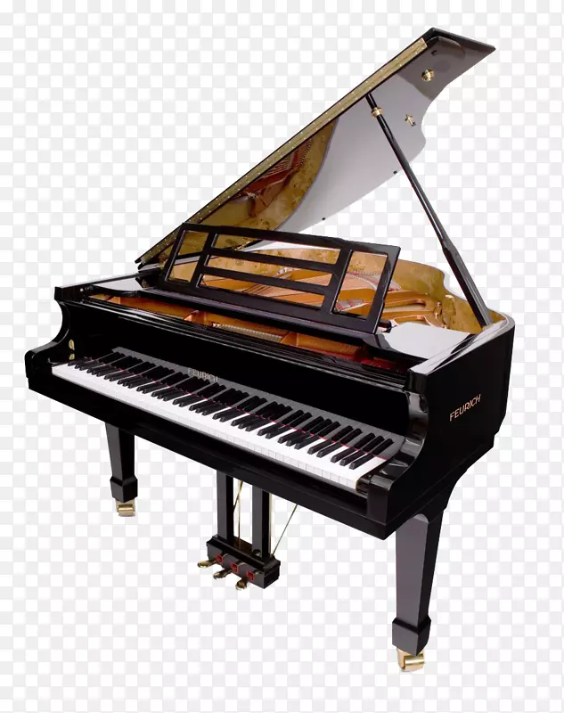 Feurich大钢琴温德尔和龙雅马哈公司-钢琴PNG形象