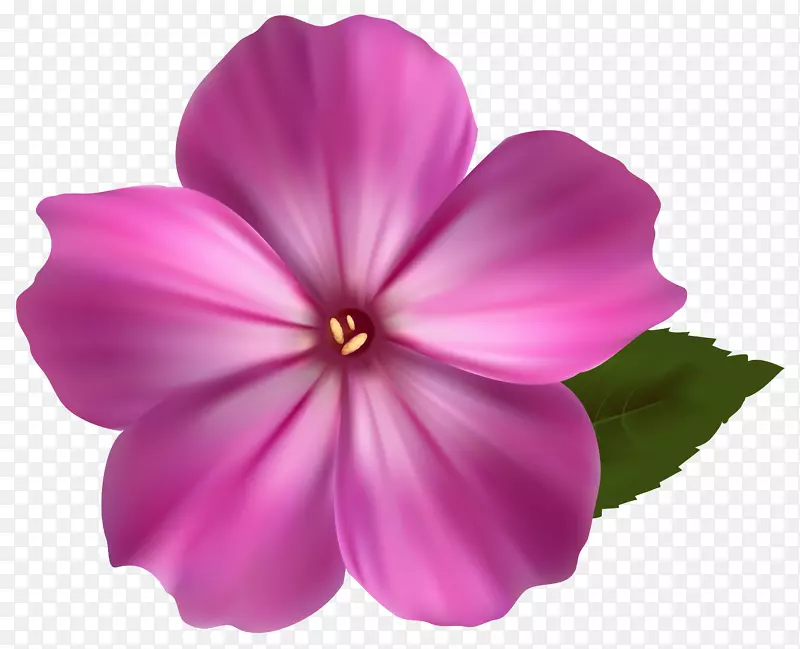 粉色花卉剪贴画-粉红花PNG剪贴画