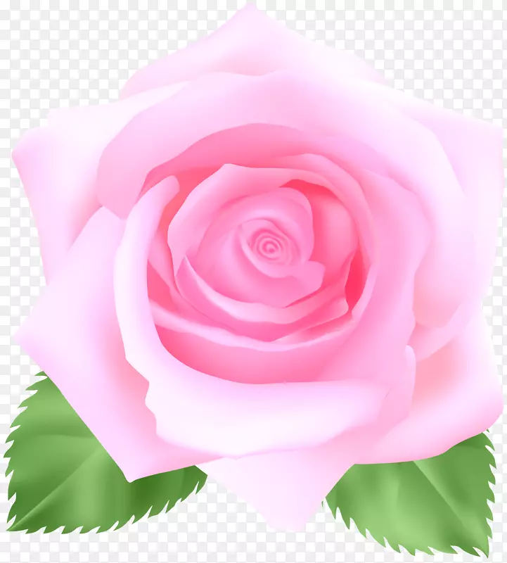 图像文件格式无损压缩-粉红色玫瑰Png剪贴画图像