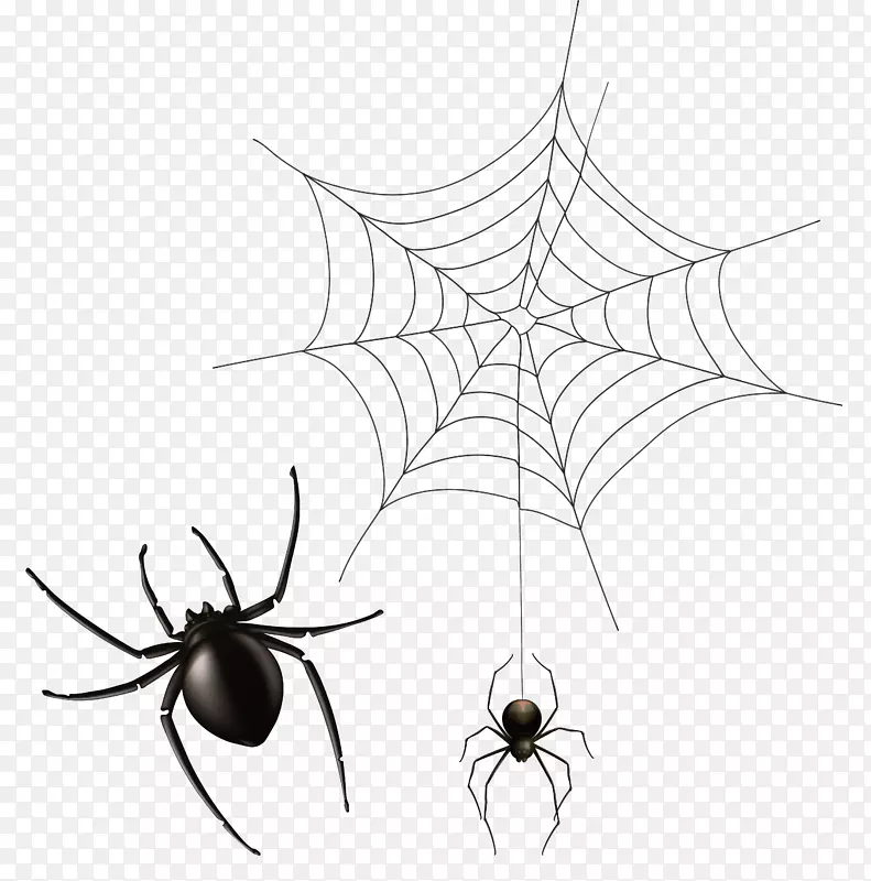 蜘蛛网图标wiki计算机文件-蜘蛛和cobweb png剪贴画