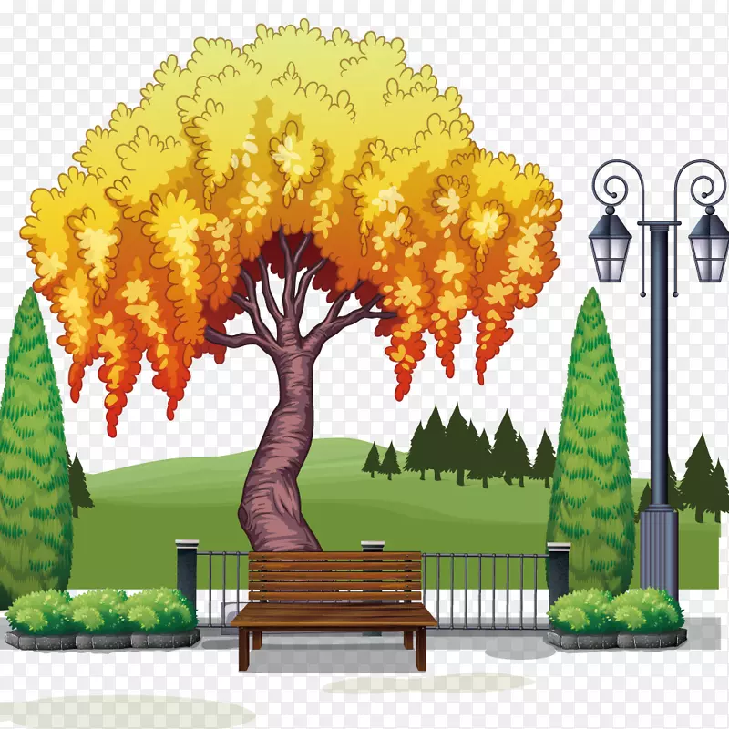 树干摄影插图.公园树