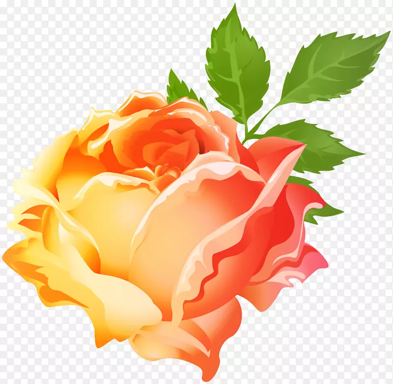 花园玫瑰，紫蜈蚣，玫瑰剪贴画-黄橙玫瑰PNG剪贴画图像