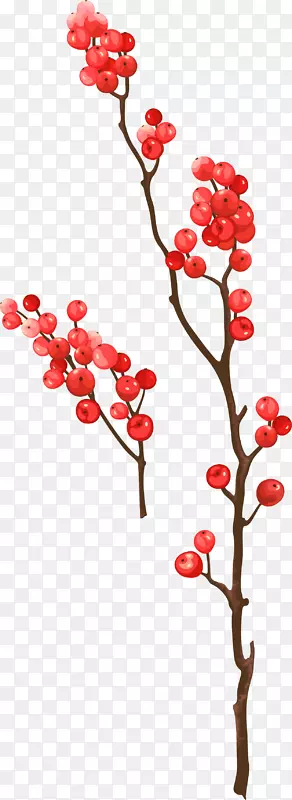 弗鲁蒂·迪·博斯科浆果-装饰红色浆果