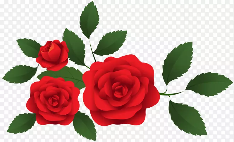 花园玫瑰剪贴画-红玫瑰装饰-PNG剪贴画