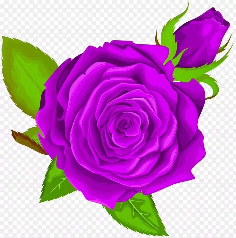 花园玫瑰，蜈蚣，玫瑰剪贴画-紫色玫瑰装饰PNG剪贴画形象