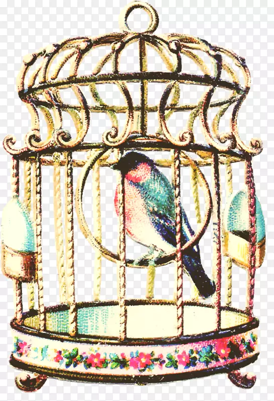 鸟笼鹦鹉手绘鸟和鸟笼