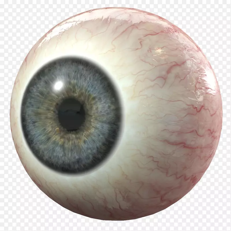 人眼三维建模三维计算机图形学虹膜-眼PNG