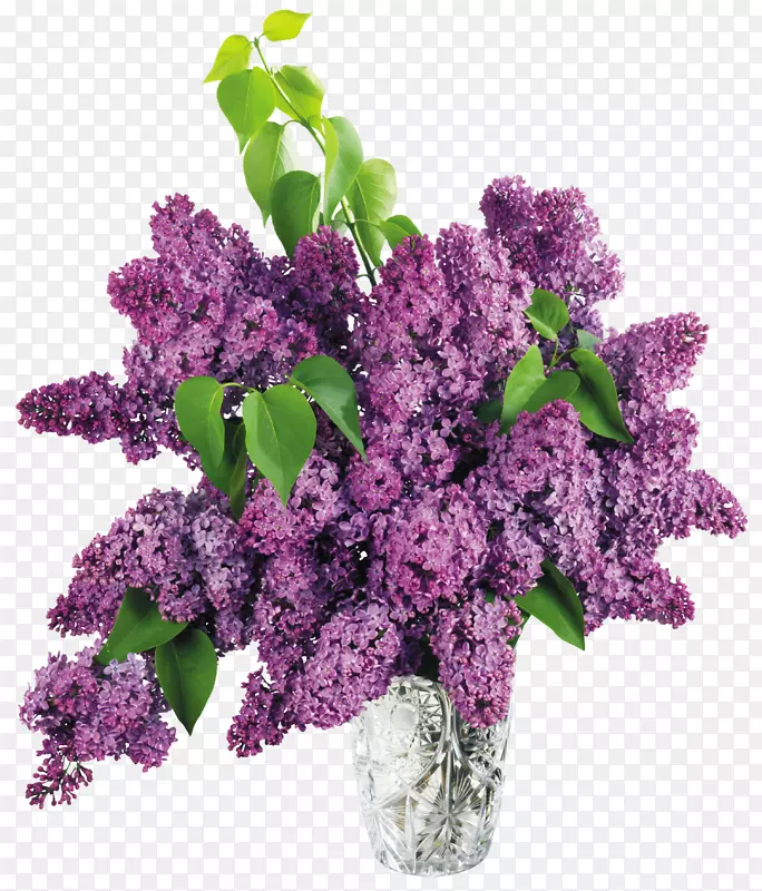 紫丁香插花艺术-紫丁香瓶