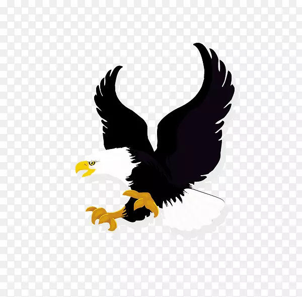 下载vexel插图-矛鹰类