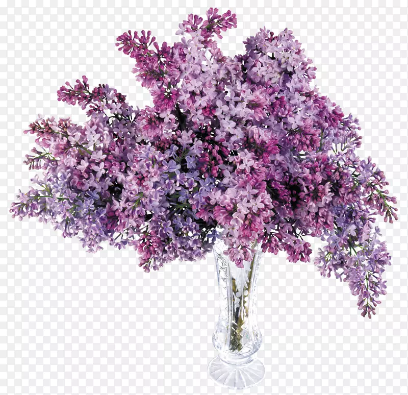 紫丁香.带丁香PNG图片的透明花瓶