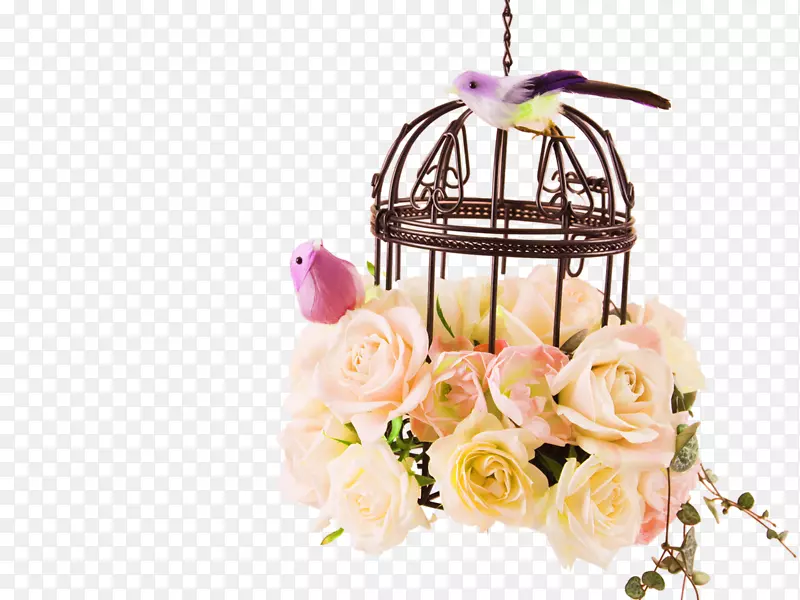 鸟笼壁纸-玫瑰花鸟笼装饰图案