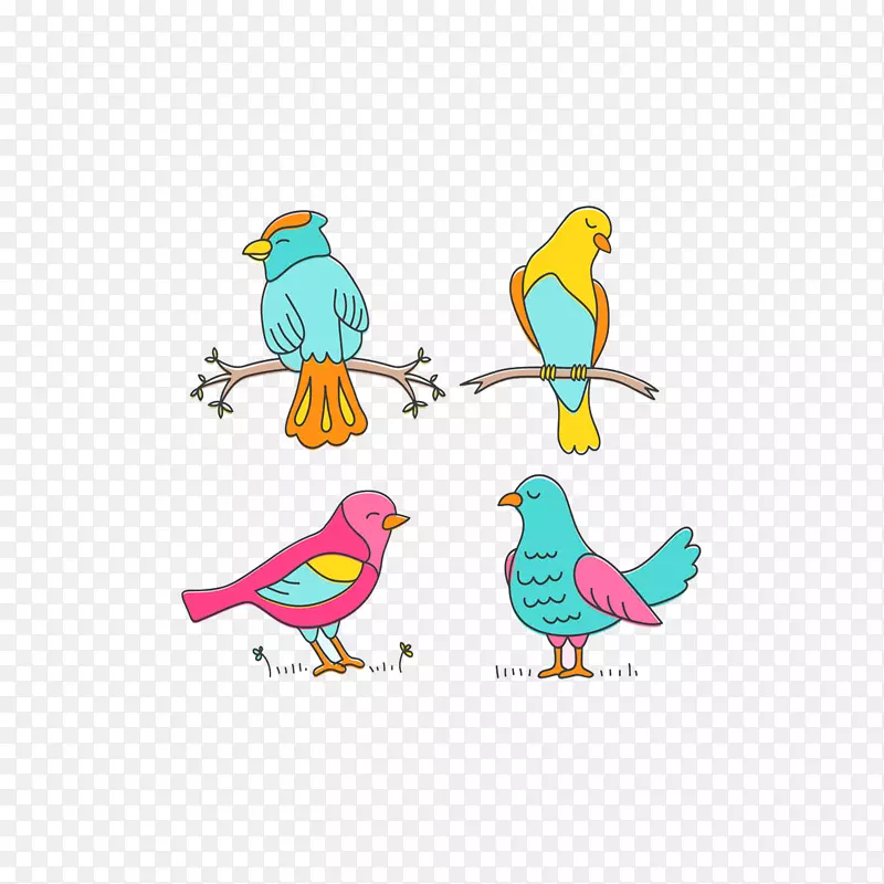 鸟类剪贴画彩色鸟类