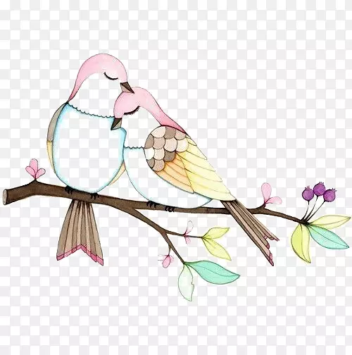 爱鸟画图-鸟