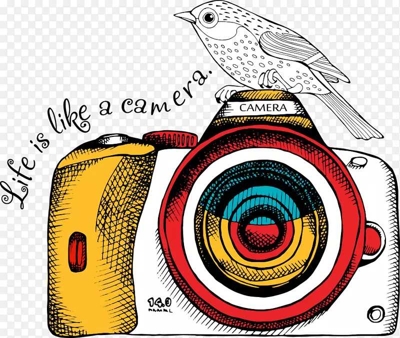 绘画插图.照相机和手绘鸟类