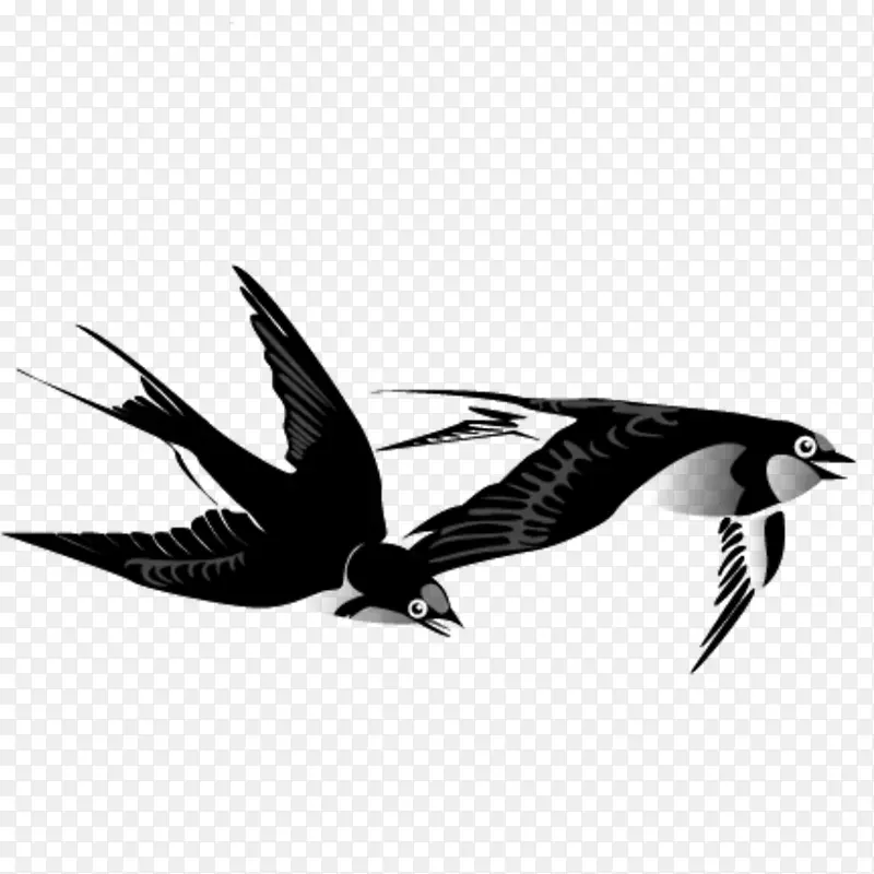 燕鸟水墨画画-燕子