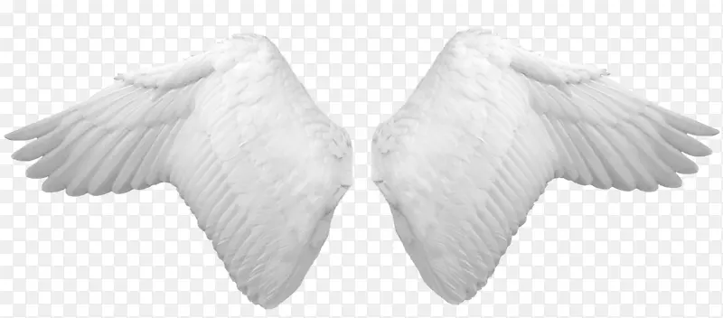 光环5：卫士图标壁纸-PNG翅膀