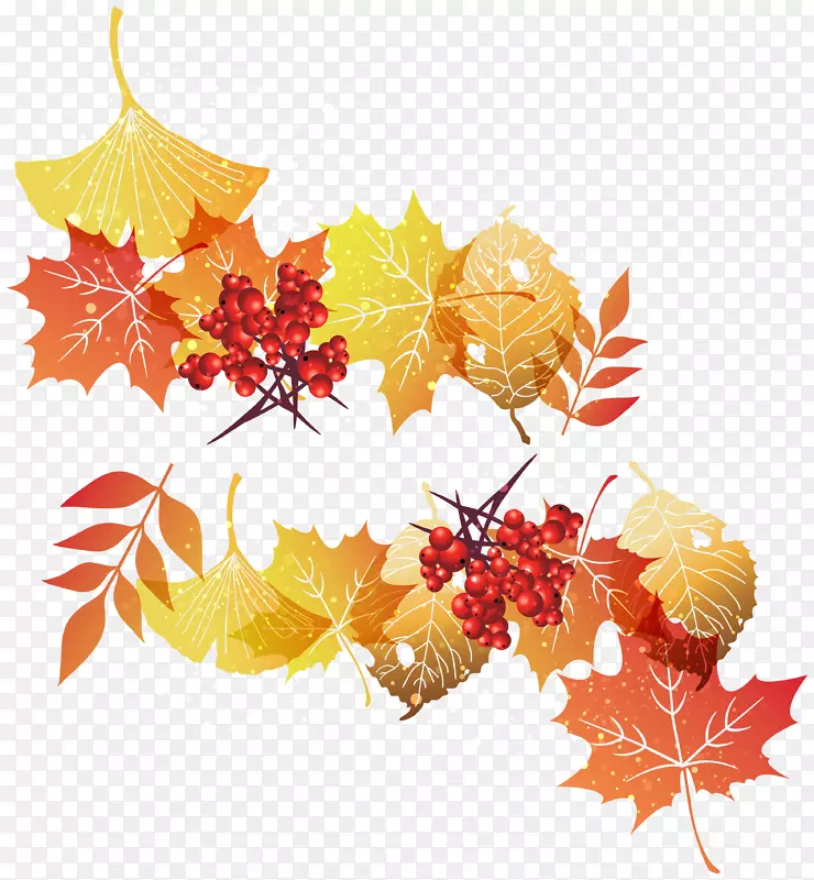 叶子图形剪贴画-树叶秋季装饰PNG图像