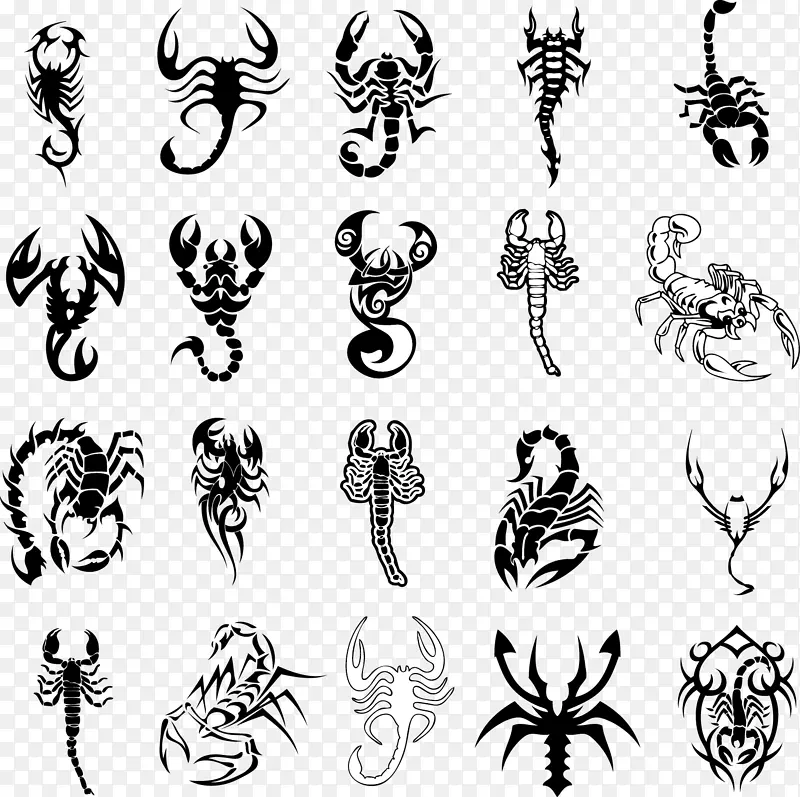 蝎子纹身理念生物力学艺术蝎子