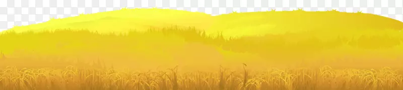 阳光天空黄色谷类-秋季地面PNG剪贴画图像