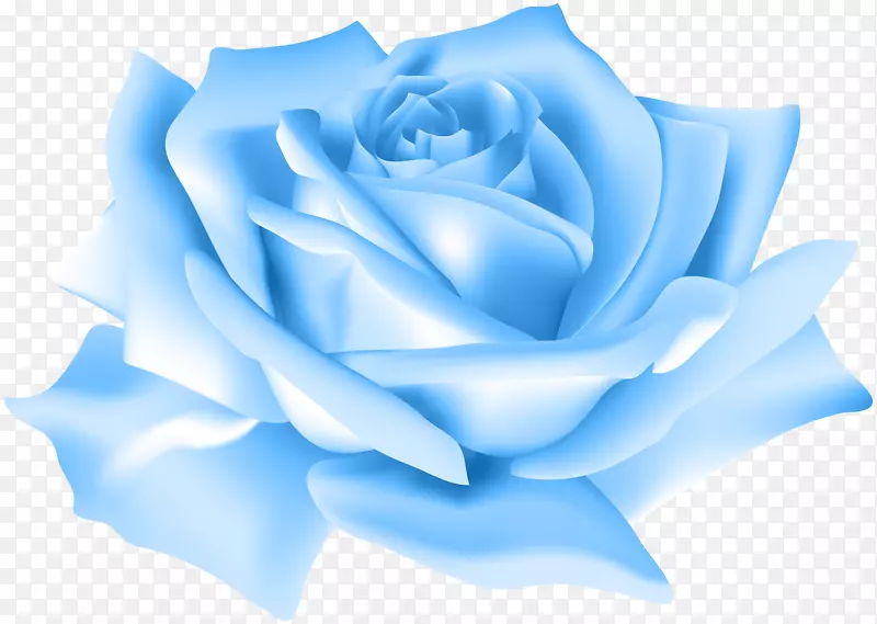 蓝色玫瑰花海滩玫瑰剪贴画-蓝色玫瑰花PNG剪贴画图片