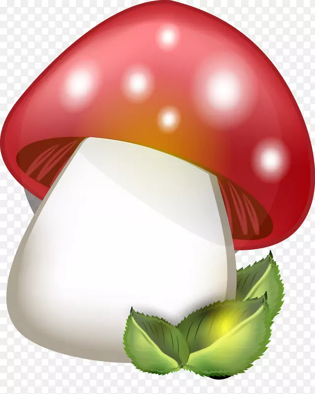 蘑菇-蘑菇