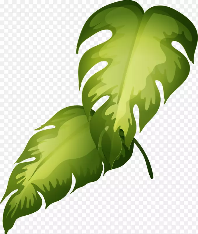 观赏植物剪贴画.卡通绿叶材料