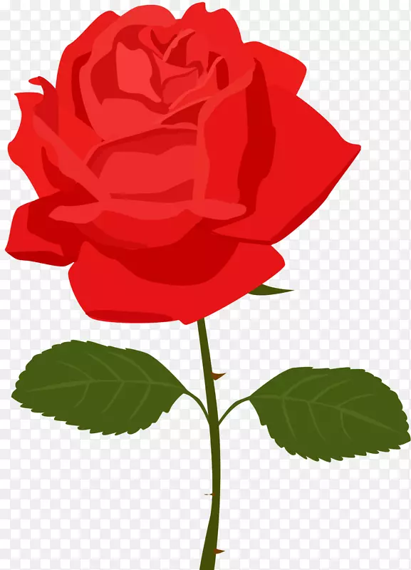 玫瑰花夹艺术-透明红玫瑰PNG图片