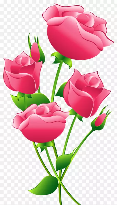 玫瑰粉色剪贴画-粉色玫瑰透明PNG剪贴画图像