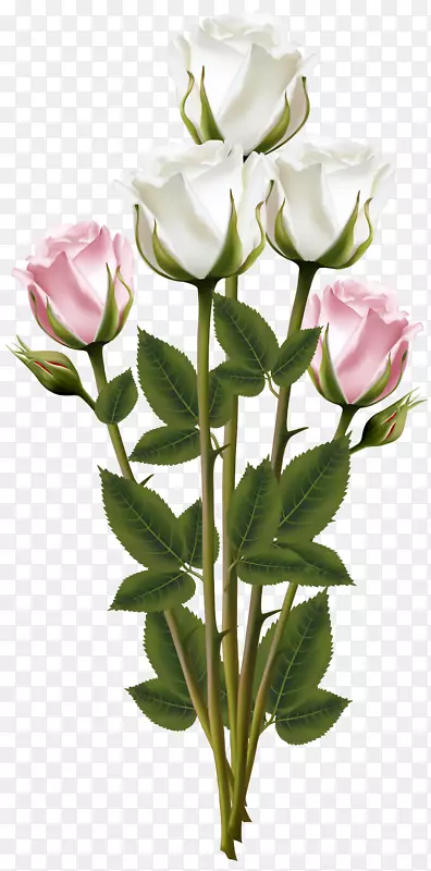 花束可伸缩图形.白色和粉红色玫瑰花束透明Png剪贴画图像
