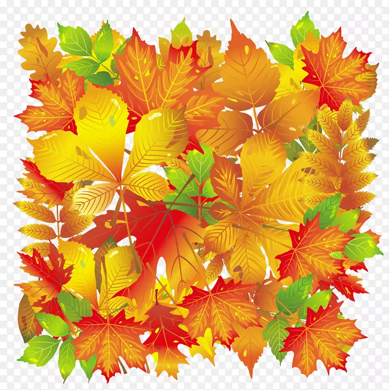 秋叶颜色-透明秋叶