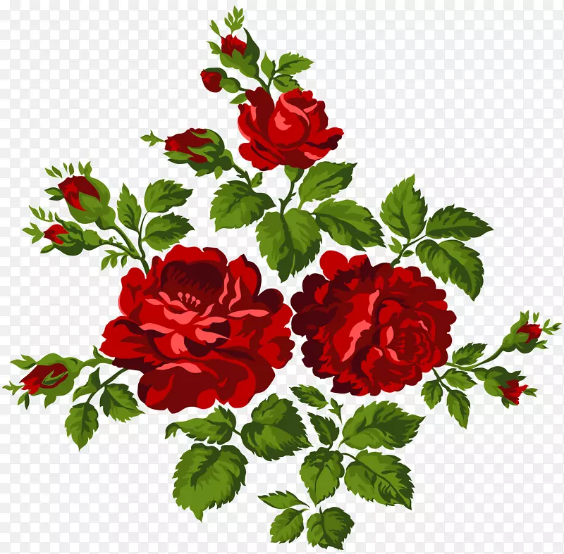 花园玫瑰、蜈蚣玫瑰、剪贴画-陈年玫瑰-PNG剪贴画图像