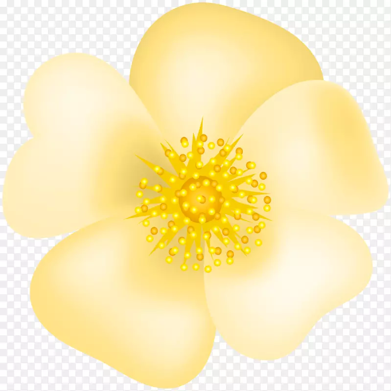 花瓣黄色商品-黄玫瑰花PNG透明剪贴画形象