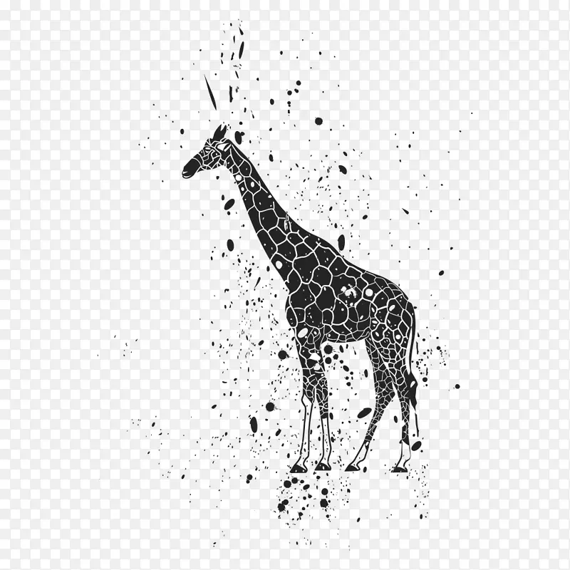 狮子长颈鹿墨水剪辑艺术动物版画