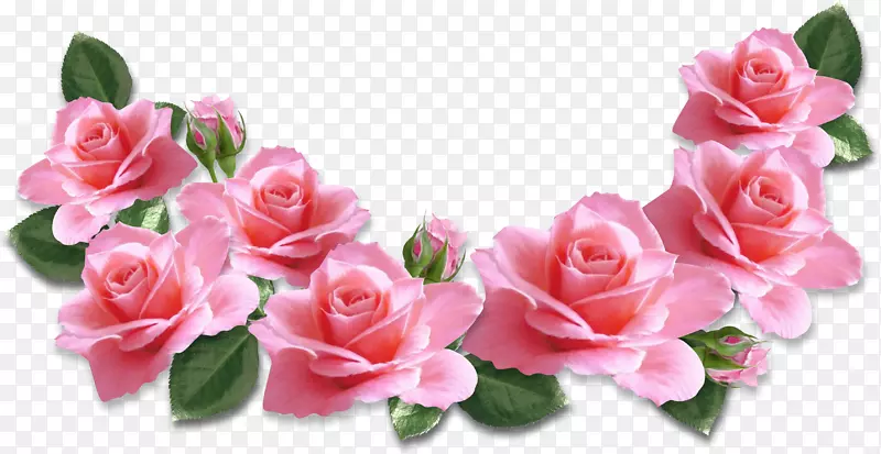 玫瑰花粉红剪贴画-粉红玫瑰装饰品PNG剪贴画