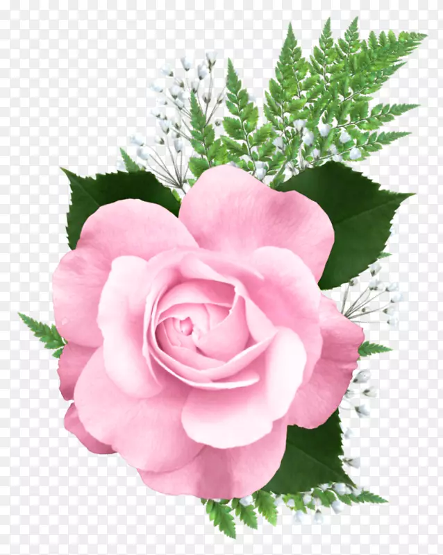玫瑰粉色剪贴画-粉红色玫瑰PNG透明图片