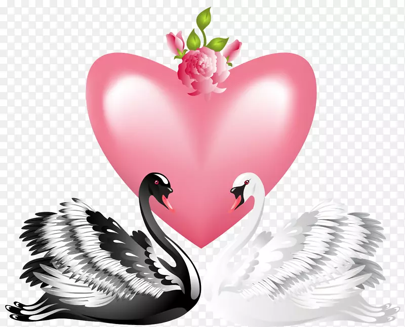 天鹅情人节心脏剪贴画-情人节爱情天鹅透明PNG剪贴画图片