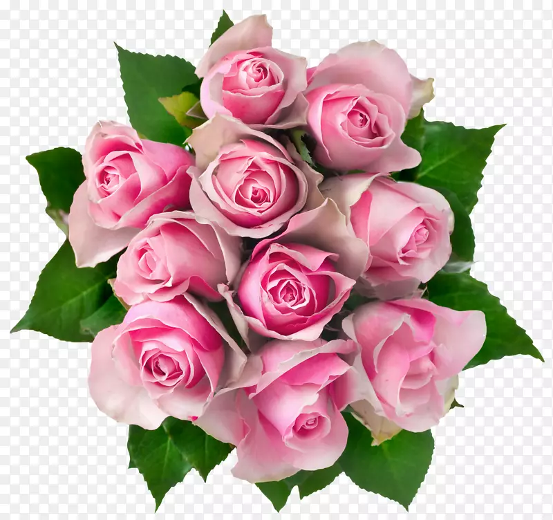 花束玫瑰粉色剪贴画-透明粉红色玫瑰花束PNG剪贴画