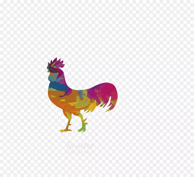 鸡鸡-彩色公鸡