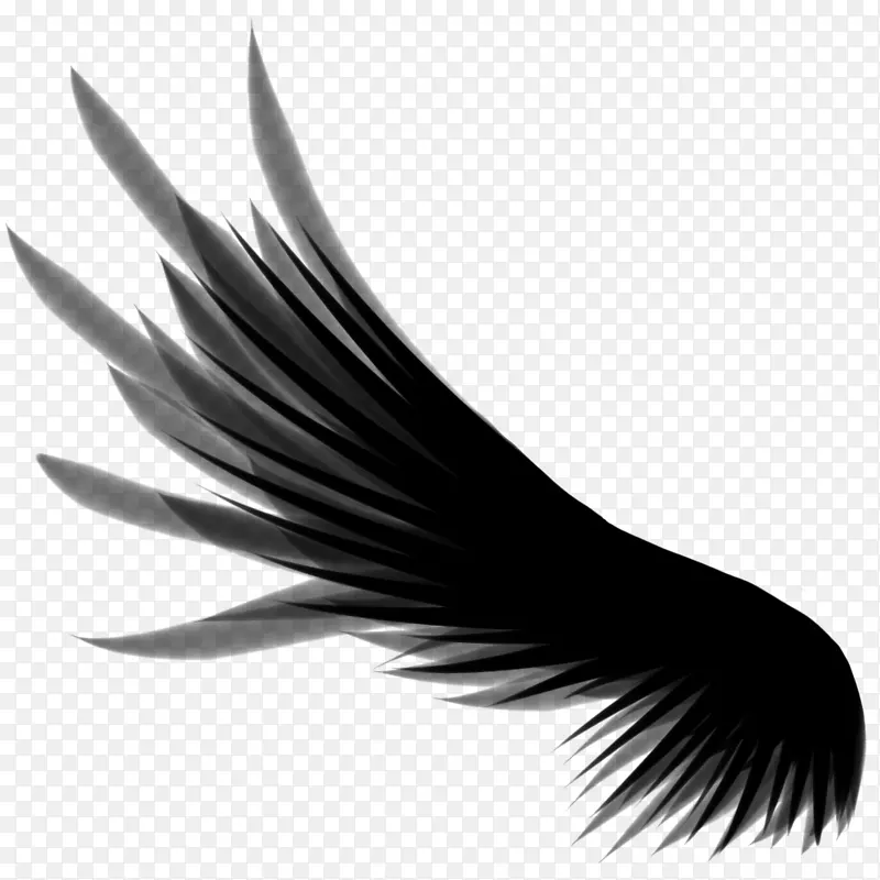 艺术翅膀剪贴画-翅膀PNG