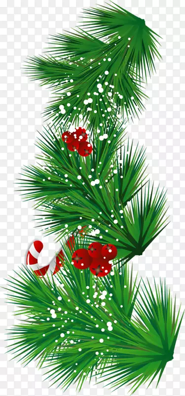 糖果藤槲寄生圣诞节可以储存图片剪辑艺术透明松枝与糖果拐杖和槲寄生攀缘部分。