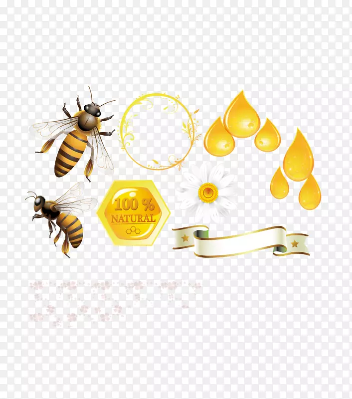 蜜蜂蜂巢-蜂巢模板下载